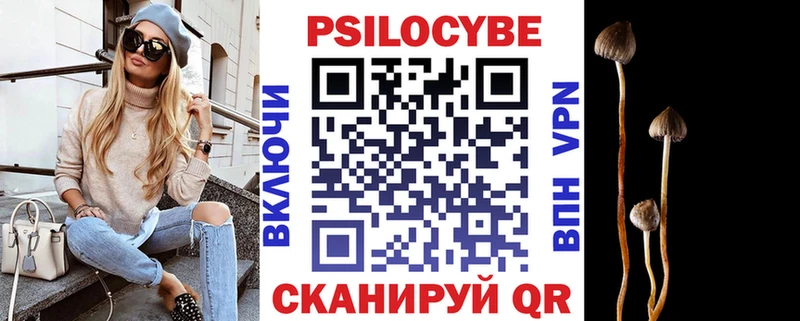 Купить закладки  Эртиль  Псилоцибиновые грибы Psilocybe 